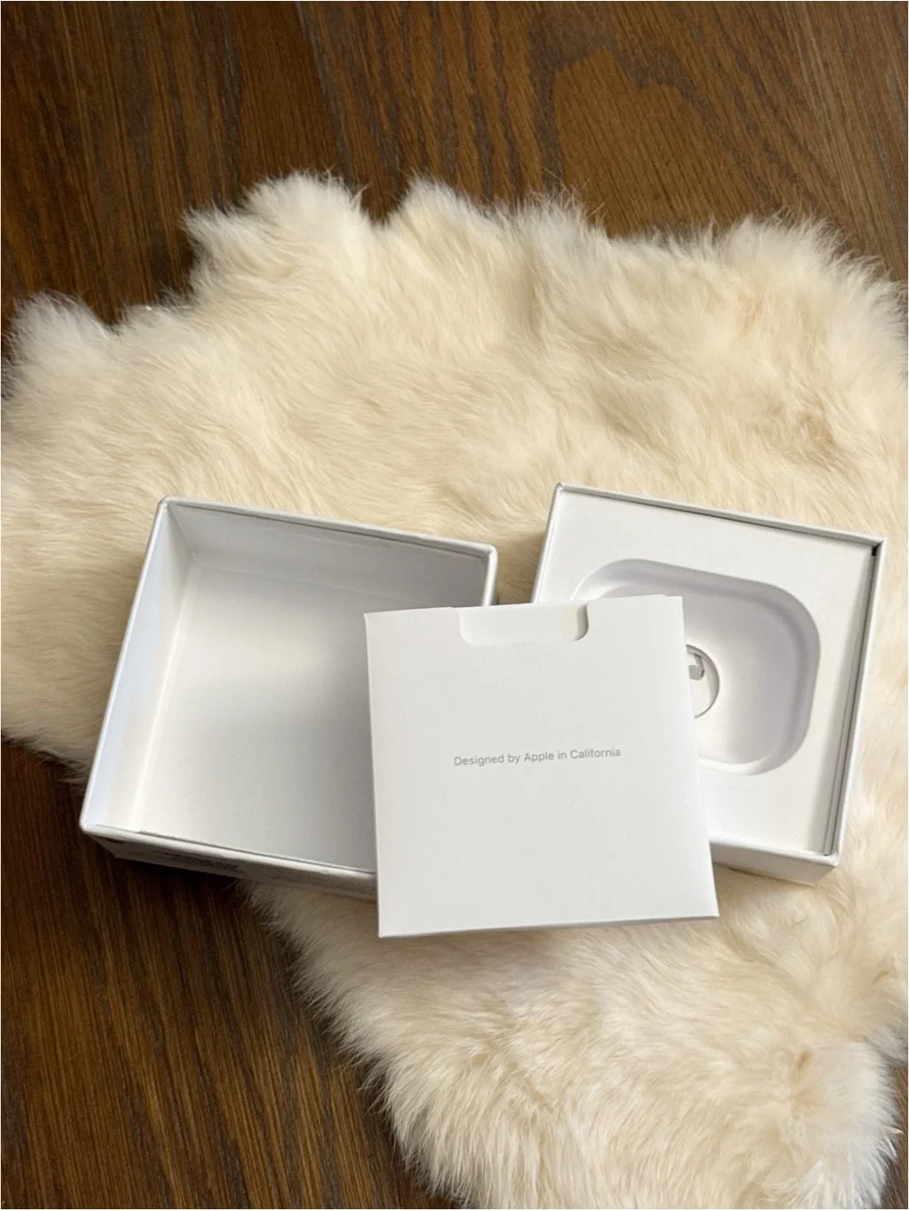 Apple AirPods Pro headphones just the box.